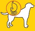 josera dog food easy digestible