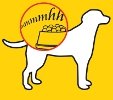 josera dog food extra tasty