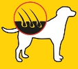 josera dog food skin and coat