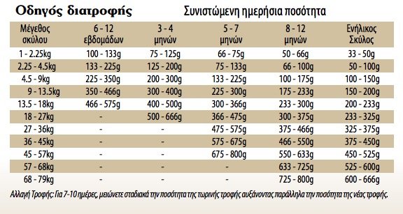petshop88 image 2016 09 21 21.11.25