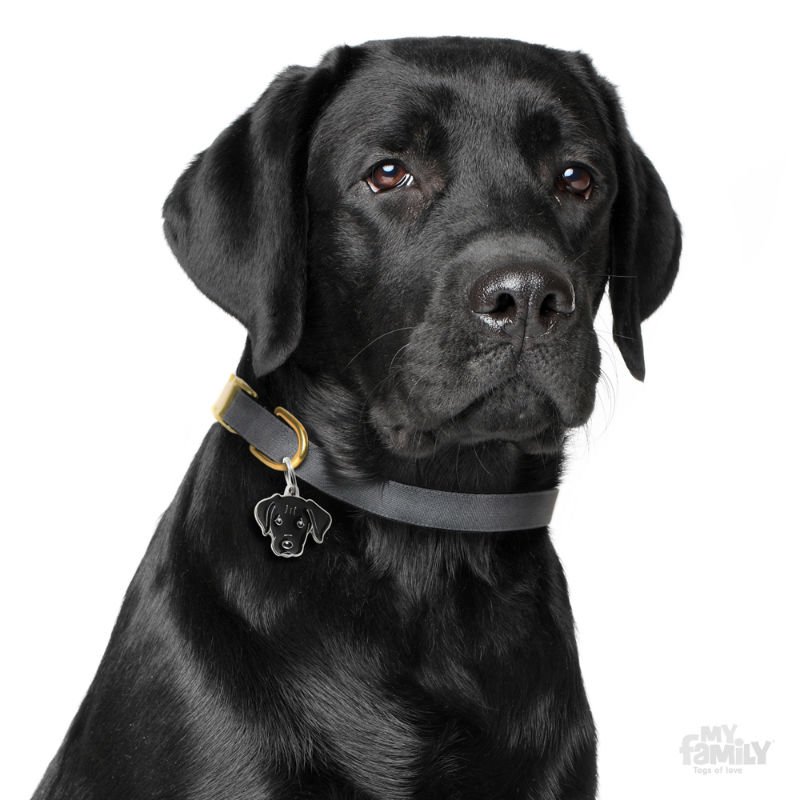 ΤΑΥΤΟΤΗΤΑ ΣΚΥΛΟΥ MY FAMILY LABRADOR BLACK ΤΑΥΤΟΤΗΤΕΣ ΤΑΥΤΟΤΗΤΑ ΣΚΥΛΟΥ MY FAMILY LABRADOR BLACK ΤΑΥΤΟΤΗΤΕΣ