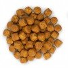 Hill's Science Plan Adult Advanced Fitness Large Breed Για Σκύλους Με Κοτόπουλο 14kg ΞΗΡΑ ΤΡΟΦΗ ΣΚΥΛΟΥ Hill's Science Plan Adult Advanced Fitness Large Breed Για Σκύλους Με Κοτόπουλο 14kg ΞΗΡΑ ΤΡΟΦΗ ΣΚΥΛΟΥ