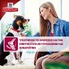 Hill's Science Plan Adult Advanced Fitness Large Breed Για Σκύλους Με Κοτόπουλο 14kg ΞΗΡΑ ΤΡΟΦΗ ΣΚΥΛΟΥ Hill's Science Plan Adult Advanced Fitness Large Breed Για Σκύλους Με Κοτόπουλο 14kg ΞΗΡΑ ΤΡΟΦΗ ΣΚΥΛΟΥ
