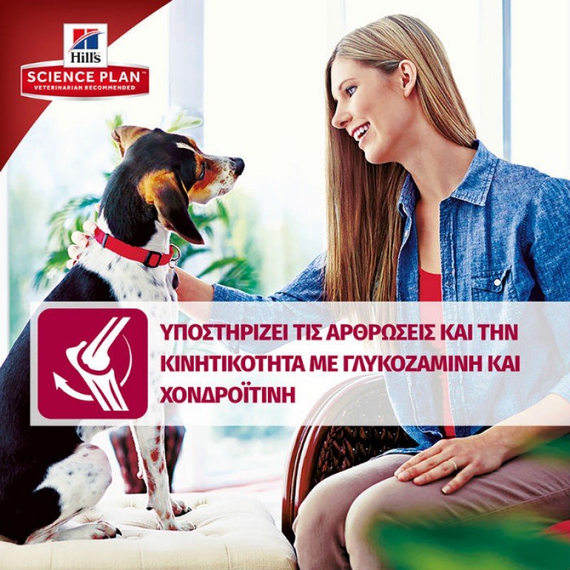 Hill's Science Plan Adult Advanced Fitness Large Breed Για Σκύλους Με Κοτόπουλο 14kg ΞΗΡΑ ΤΡΟΦΗ ΣΚΥΛΟΥ Hill's Science Plan Adult Advanced Fitness Large Breed Για Σκύλους Με Κοτόπουλο 14kg ΞΗΡΑ ΤΡΟΦΗ ΣΚΥΛΟΥ