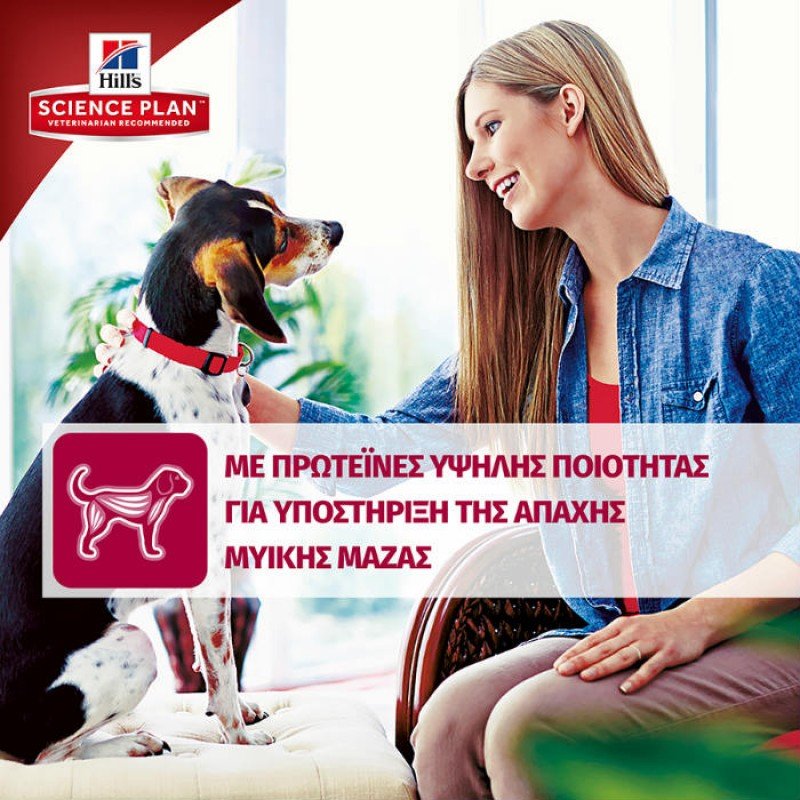 Hill's Science Plan Adult Medium Για Σκύλους Με Κοτόπουλο 14kg ΣΚΥΛΟΙ Hill's Science Plan Adult Medium Για Σκύλους Με Κοτόπουλο 14kg ΣΚΥΛΟΙ