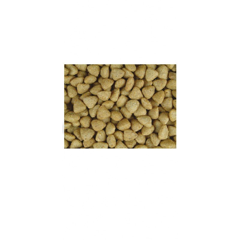 JOSERA JOSICAT POULTRY ΜΕ ΠΟΥΛΕΡΙΚΑ 10KG ΓΙΑ ΣΤΕΙΡΩΜΕΝΑ ΓΑΤΕΣ JOSERA JOSICAT POULTRY ΜΕ ΠΟΥΛΕΡΙΚΑ 10KG ΓΙΑ ΣΤΕΙΡΩΜΕΝΑ ΓΑΤΕΣ