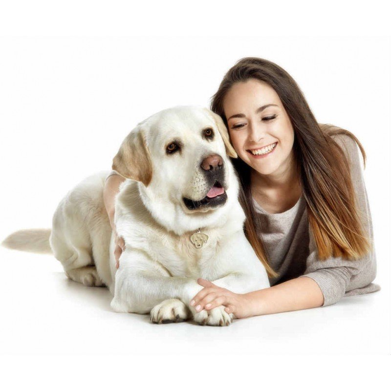 ΤΑΥΤΟΤΗΤΑ ΣΚΥΛΟΥ MY FAMILY LABRADOR GOLD ΤΑΥΤΟΤΗΤΕΣ ΤΑΥΤΟΤΗΤΑ ΣΚΥΛΟΥ MY FAMILY LABRADOR GOLD ΤΑΥΤΟΤΗΤΕΣ