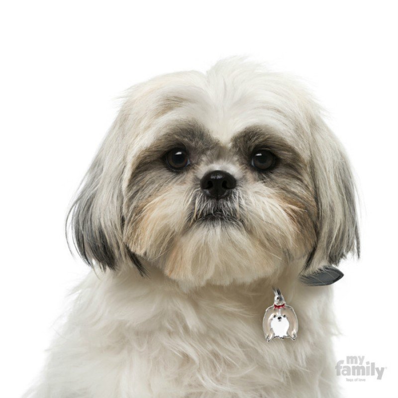 ΤΑΥΤΟΤΗΤΑ ΣΚΥΛΟΥ MY FAMILY GREY SHIH TZU ΤΑΥΤΟΤΗΤΕΣ ΤΑΥΤΟΤΗΤΑ ΣΚΥΛΟΥ MY FAMILY GREY SHIH TZU ΤΑΥΤΟΤΗΤΕΣ