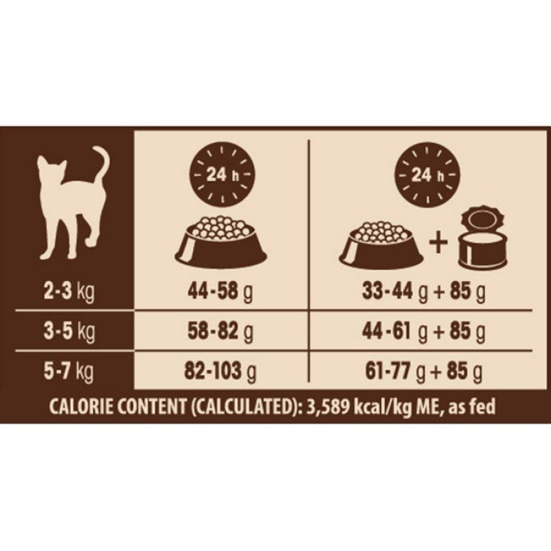 WELLNESS CORE CAT OCEAN ΣΟΛΟΜΟΣ ΤΟΝΟΣ 4Kg ΞΗΡΑ ΤΡΟΦΗ ΓΑΤΑΣ WELLNESS CORE CAT OCEAN ΣΟΛΟΜΟΣ ΤΟΝΟΣ 4Kg ΞΗΡΑ ΤΡΟΦΗ ΓΑΤΑΣ