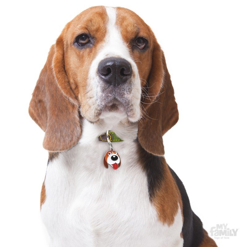 ΤΑΥΤΟΤΗΤΑ ΣΚΥΛΟΥ MY FAMILY BEAGLE ΤΑΥΤΟΤΗΤΕΣ ΤΑΥΤΟΤΗΤΑ ΣΚΥΛΟΥ MY FAMILY BEAGLE ΤΑΥΤΟΤΗΤΕΣ