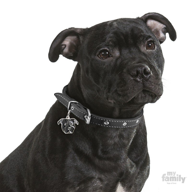 ΤΑΥΤΟΤΗΤΑ ΣΚΥΛΟΥ MY FAMILY BLACK AMSTAFF ΤΑΥΤΟΤΗΤΕΣ ΤΑΥΤΟΤΗΤΑ ΣΚΥΛΟΥ MY FAMILY BLACK AMSTAFF ΤΑΥΤΟΤΗΤΕΣ