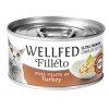 Wellfed Cat Filleto Pure Turkey 70gr ΥΓΡΗ ΤΡΟΦΗ -  ΚΟΝΣΕΡΒΕΣ ΓΑΤΑΣ