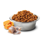 N&D OCEAN CODFISH PUMPKIN & ORANGE ADULT MEDIUM & MAXI 12KG + ΔΩΡΟ DENTAL STICKS ΞΗΡΑ ΤΡΟΦΗ ΣΚΥΛΟΥ N&D OCEAN CODFISH PUMPKIN & ORANGE ADULT MEDIUM & MAXI 12KG + ΔΩΡΟ DENTAL STICKS ΞΗΡΑ ΤΡΟΦΗ ΣΚΥΛΟΥ