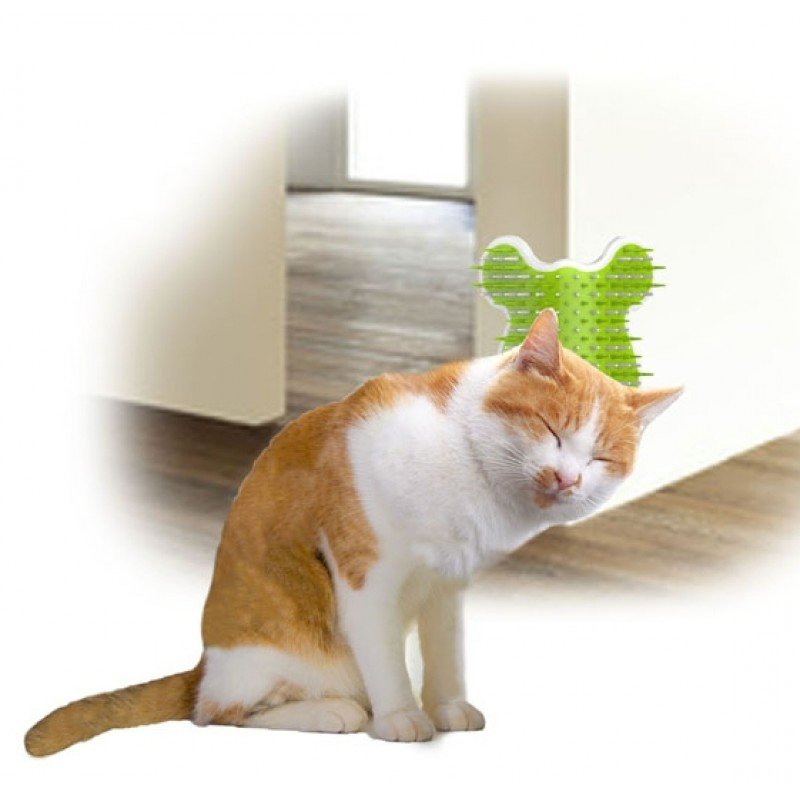 Βούρτσα AFP Cat Corner Groomer 14x12x9cm ΟΝΥΧΟΔΡΟΜΙΑ - ΓΑΤΟΔΕΝΤΡΑ Βούρτσα AFP Cat Corner Groomer 14x12x9cm ΟΝΥΧΟΔΡΟΜΙΑ - ΓΑΤΟΔΕΝΤΡΑ