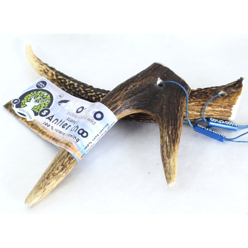 Κέρατο Ελαφιού BlooChoo Antler Small Full Xlong 30-60gr ΛΙΧΟΥΔΙΕΣ & ΚΟΚΑΛΑ Κέρατο Ελαφιού BlooChoo Antler Small Full Xlong 30-60gr ΛΙΧΟΥΔΙΕΣ & ΚΟΚΑΛΑ