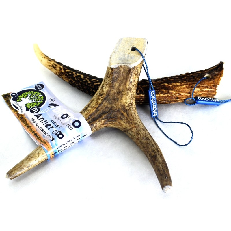 Κέρατο Ελαφιού BlooChoo Antler Medium Full Xlong 50-80gr ΛΙΧΟΥΔΙΕΣ & ΚΟΚΑΛΑ Κέρατο Ελαφιού BlooChoo Antler Medium Full Xlong 50-80gr ΛΙΧΟΥΔΙΕΣ & ΚΟΚΑΛΑ