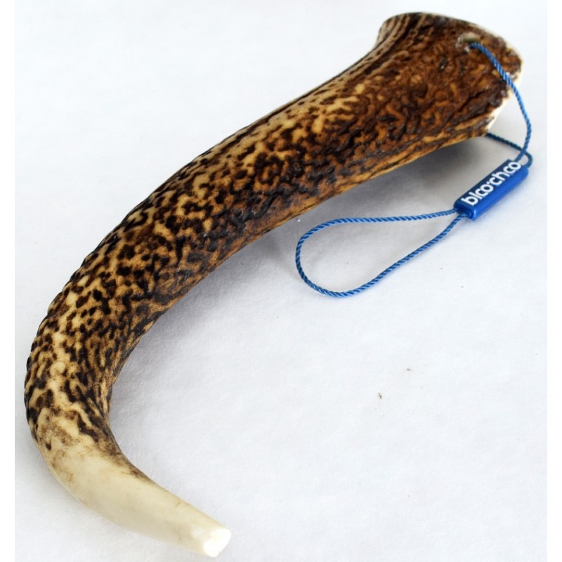 Κέρατο Ελαφιού BlooChoo Antler XLarge Full Xlong 80-120gr ΛΙΧΟΥΔΙΕΣ & ΚΟΚΑΛΑ Κέρατο Ελαφιού BlooChoo Antler XLarge Full Xlong 80-120gr ΛΙΧΟΥΔΙΕΣ & ΚΟΚΑΛΑ