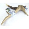 Κέρατο Ελαφιού BlooChoo Antler XLarge Full Xlong 80-120gr ΛΙΧΟΥΔΙΕΣ & ΚΟΚΑΛΑ Κέρατο Ελαφιού BlooChoo Antler XLarge Full Xlong 80-120gr ΛΙΧΟΥΔΙΕΣ & ΚΟΚΑΛΑ