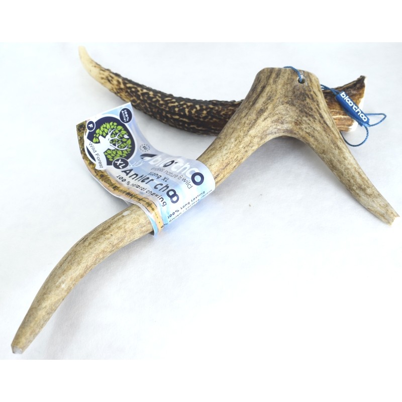 Κέρατο Ελαφιού BlooChoo Antler XLarge Full Xlong 80-120gr ΛΙΧΟΥΔΙΕΣ & ΚΟΚΑΛΑ Κέρατο Ελαφιού BlooChoo Antler XLarge Full Xlong 80-120gr ΛΙΧΟΥΔΙΕΣ & ΚΟΚΑΛΑ