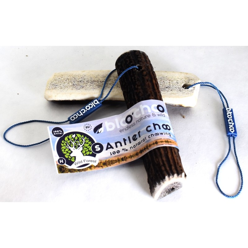Κέρατο Ελαφιού BlooChoo Antler Half Small 25-50gr ΛΙΧΟΥΔΙΕΣ & ΚΟΚΑΛΑ Κέρατο Ελαφιού BlooChoo Antler Half Small 25-50gr ΛΙΧΟΥΔΙΕΣ & ΚΟΚΑΛΑ