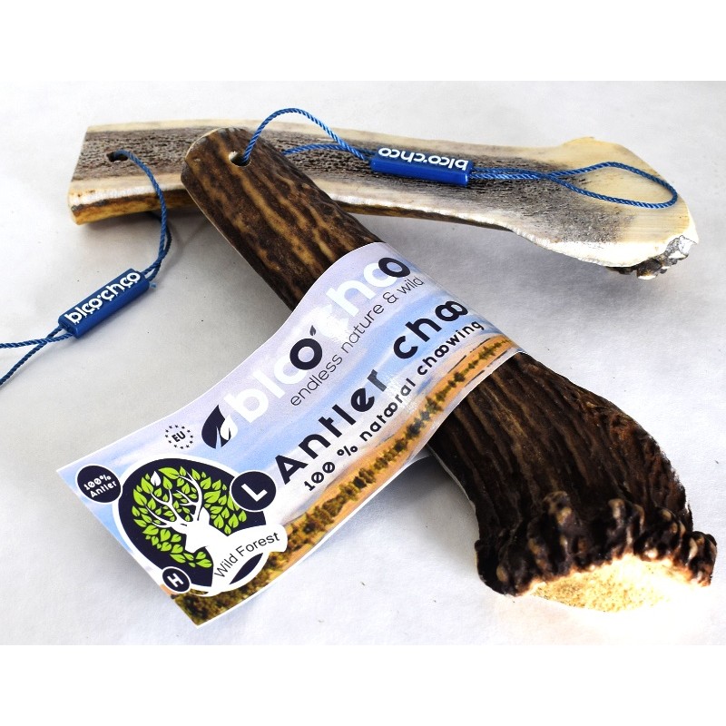 Κέρατο Ελαφιού BlooChoo Antler Half Large 70-100gr ΛΙΧΟΥΔΙΕΣ & ΚΟΚΑΛΑ Κέρατο Ελαφιού BlooChoo Antler Half Large 70-100gr ΛΙΧΟΥΔΙΕΣ & ΚΟΚΑΛΑ