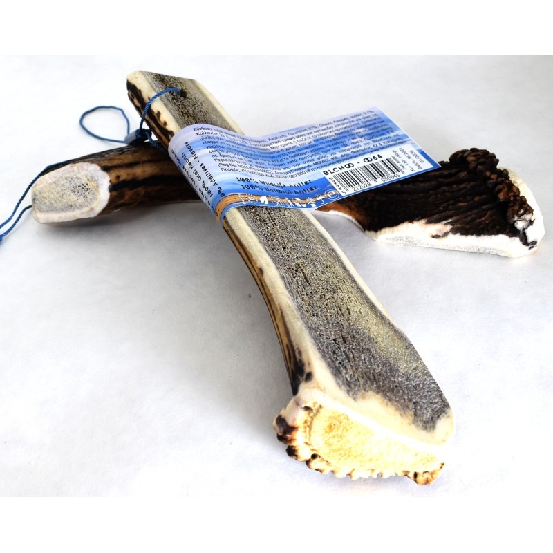 Κέρατο Ελαφιού BlooChoo Antler Half XLarge+ 140-180gr ΛΙΧΟΥΔΙΕΣ & ΚΟΚΑΛΑ Κέρατο Ελαφιού BlooChoo Antler Half XLarge+ 140-180gr ΛΙΧΟΥΔΙΕΣ & ΚΟΚΑΛΑ