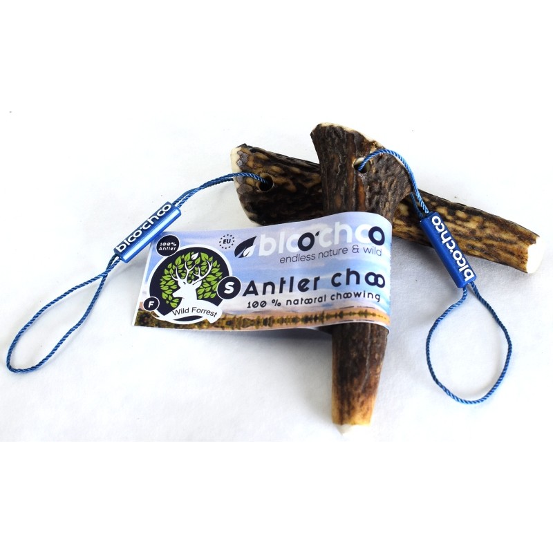 Κέρατο Ελαφιού BlooChoo Antler Full Small 25-50gr ΛΙΧΟΥΔΙΕΣ & ΚΟΚΑΛΑ Κέρατο Ελαφιού BlooChoo Antler Full Small 25-50gr ΛΙΧΟΥΔΙΕΣ & ΚΟΚΑΛΑ