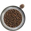 Belcando Finest Grain Free Salmon 12,5kg ΣΚΥΛΟΙ Belcando Finest Grain Free Salmon 12,5kg ΣΚΥΛΟΙ