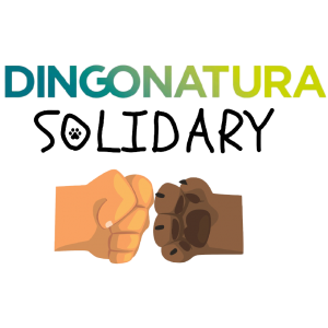 SOLIDARY DINGONATURA