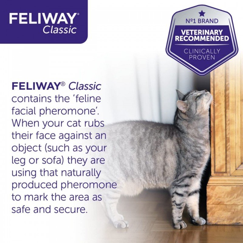Feliway Classic Refill Ανταλλακτικό 48ml για το στρες στις Γάτες ΓΑΤΕΣ Feliway Classic Refill Ανταλλακτικό 48ml για το στρες στις Γάτες ΓΑΤΕΣ