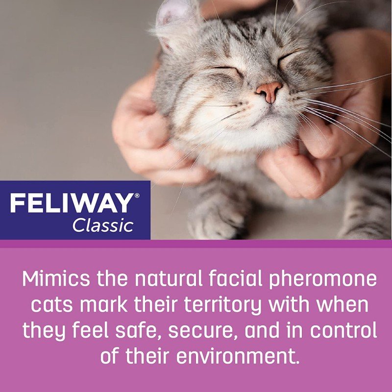 Feliway Classic Refill Ανταλλακτικό 48ml για το στρες στις Γάτες ΓΑΤΕΣ Feliway Classic Refill Ανταλλακτικό 48ml για το στρες στις Γάτες ΓΑΤΕΣ