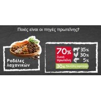 BELCANDO ADULT MULTI CROC 12.5KG ΞΗΡΑ ΤΡΟΦΗ ΣΚΥΛΟΥ BELCANDO ADULT MULTI CROC 12.5KG ΞΗΡΑ ΤΡΟΦΗ ΣΚΥΛΟΥ