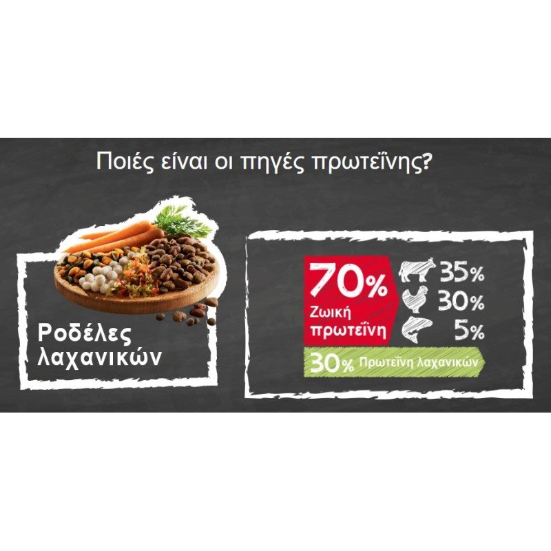 BELCANDO ADULT MULTI CROC 12.5KG ΞΗΡΑ ΤΡΟΦΗ ΣΚΥΛΟΥ BELCANDO ADULT MULTI CROC 12.5KG ΞΗΡΑ ΤΡΟΦΗ ΣΚΥΛΟΥ