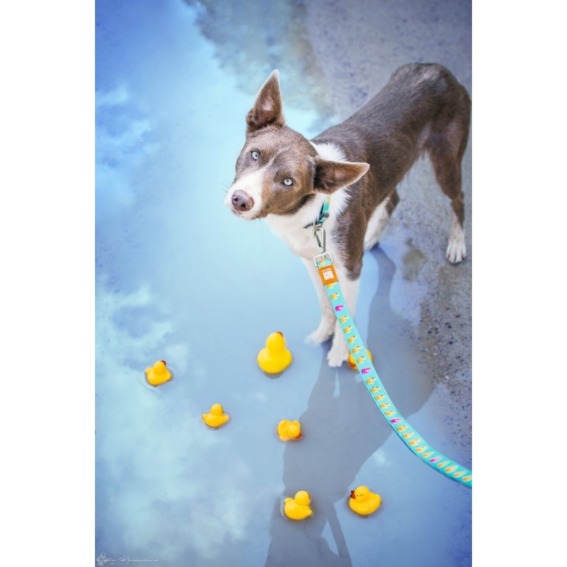 Max & Molly Μπρελόκ Ducklings Tag 17,5cm ΕΙΔΗ ΑΥΤΟΚΙΝΗΤΟΥ ΚΑΙ ΤΑΞΙΔΙΟΥ Max & Molly Μπρελόκ Ducklings Tag 17,5cm ΕΙΔΗ ΑΥΤΟΚΙΝΗΤΟΥ ΚΑΙ ΤΑΞΙΔΙΟΥ