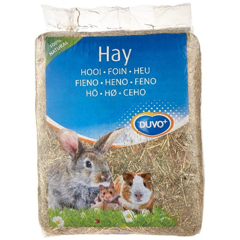 ΣΑΝΟΣ DUVO ΜΙΚΡΩΝ ΖΩΩΝ 2,5KG ΡΟΚΑΝΙΔΙΑ & ΧΟΡΤΑ ΜΙΚΡΩΝ ΖΩΩΝ ΚΟΥΝΕΛΙΩΝ ΣΑΝΟΣ DUVO ΜΙΚΡΩΝ ΖΩΩΝ 2,5KG ΡΟΚΑΝΙΔΙΑ & ΧΟΡΤΑ ΜΙΚΡΩΝ ΖΩΩΝ ΚΟΥΝΕΛΙΩΝ