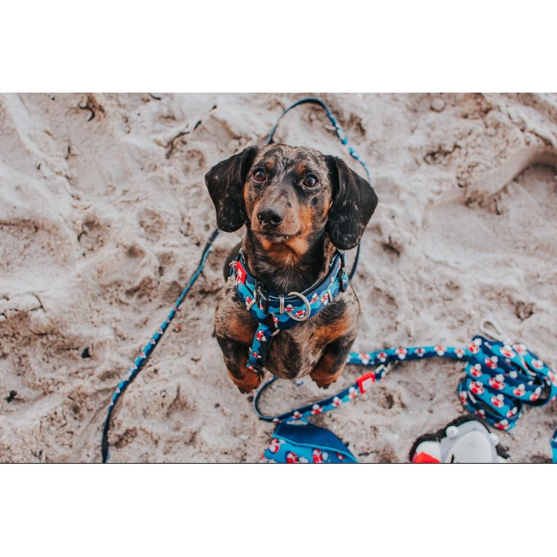 Max & Molly Μπρελόκ Frenzy The Shark Tag 17,5cm ΕΙΔΗ ΑΥΤΟΚΙΝΗΤΟΥ ΚΑΙ ΤΑΞΙΔΙΟΥ Max & Molly Μπρελόκ Frenzy The Shark Tag 17,5cm ΕΙΔΗ ΑΥΤΟΚΙΝΗΤΟΥ ΚΑΙ ΤΑΞΙΔΙΟΥ