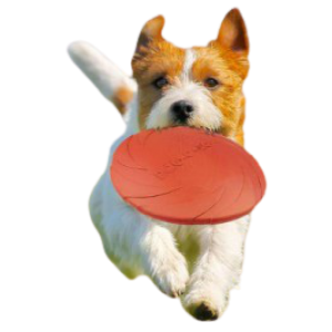 FRISBEE