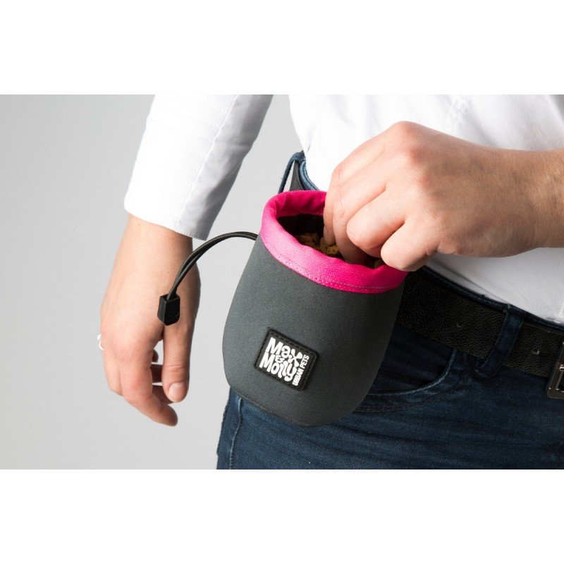 MAX & MOLLY TREAT BAG ΤΣΑΝΤΑΚΙ ΛΙΧΟΥΔΙΩΝ ΡΟΖ ΕΙΔΗ ΑΥΤΟΚΙΝΗΤΟΥ ΚΑΙ ΤΑΞΙΔΙΟΥ MAX & MOLLY TREAT BAG ΤΣΑΝΤΑΚΙ ΛΙΧΟΥΔΙΩΝ ΡΟΖ ΕΙΔΗ ΑΥΤΟΚΙΝΗΤΟΥ ΚΑΙ ΤΑΞΙΔΙΟΥ