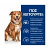 Hill's Prescription Diet Derm Complete Skin Care and Food Sensitivities Για Σκύλους 12kg (10 + 2kg Δώρο) ΣΚΥΛΟΙ Hill's Prescription Diet Derm Complete Skin Care and Food Sensitivities Για Σκύλους 12kg (10 + 2kg Δώρο) ΣΚΥΛΟΙ