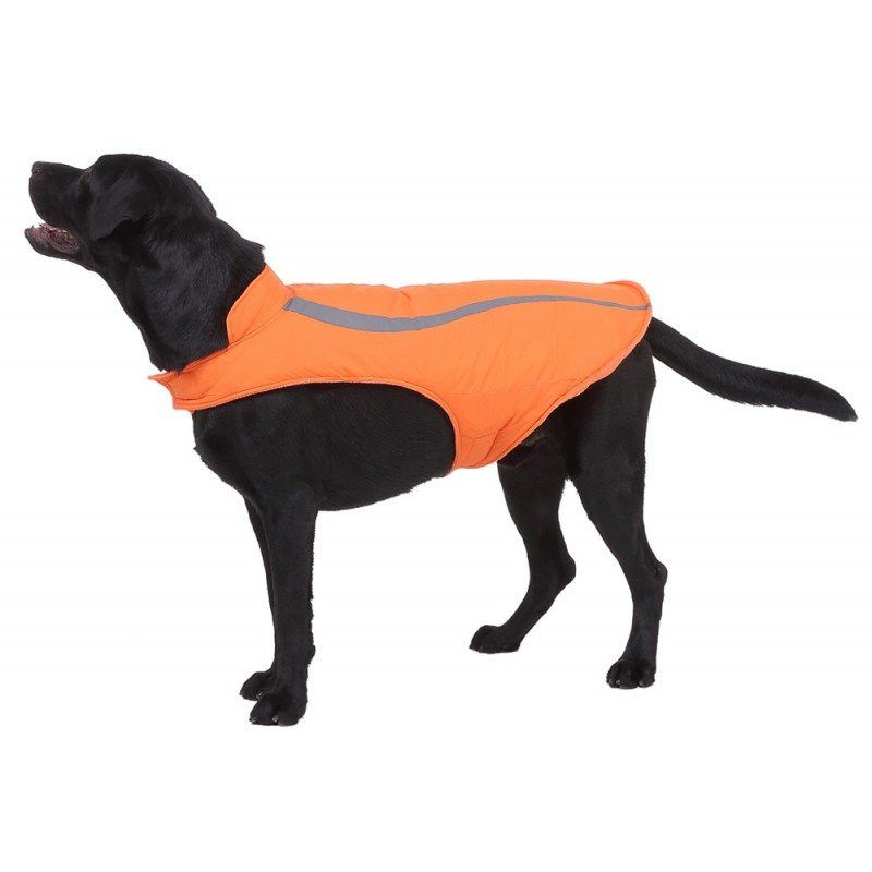 Αδιάβροχο - Αντιανεμικό μπουφάν Curved Orange Large 40cm ΡΟΥΧΑ - ΒΡΑΚΑΚΙΑ ΣΚΥΛΟΥ Αδιάβροχο - Αντιανεμικό μπουφάν Curved Orange Large 40cm ΡΟΥΧΑ - ΒΡΑΚΑΚΙΑ ΣΚΥΛΟΥ