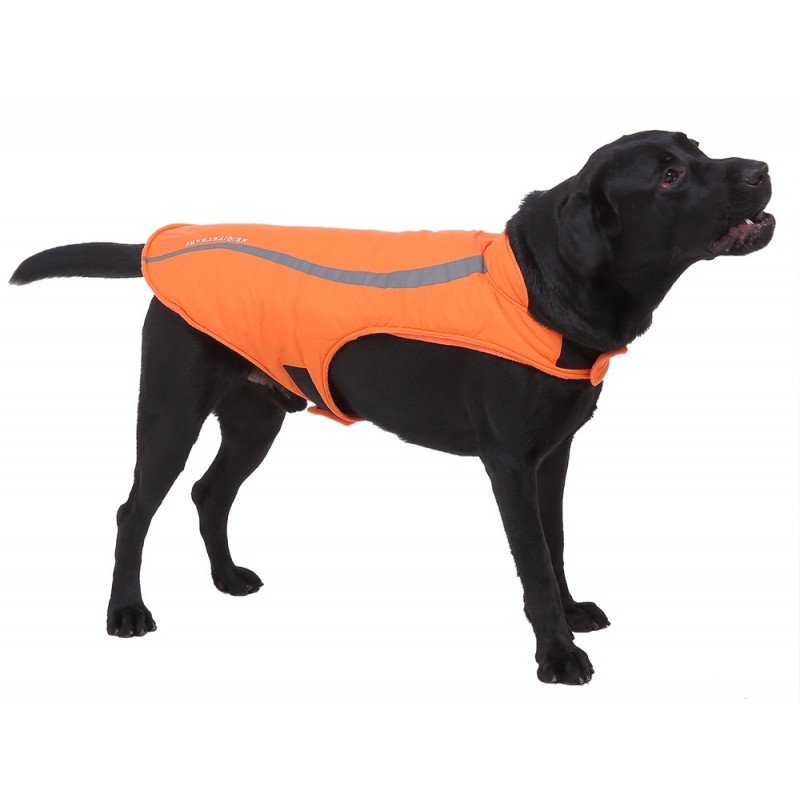 Αδιάβροχο - Αντιανεμικό μπουφάν Curved Orange Large 40cm ΡΟΥΧΑ - ΒΡΑΚΑΚΙΑ ΣΚΥΛΟΥ Αδιάβροχο - Αντιανεμικό μπουφάν Curved Orange Large 40cm ΡΟΥΧΑ - ΒΡΑΚΑΚΙΑ ΣΚΥΛΟΥ