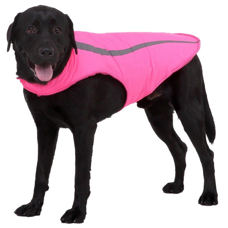 Αδιάβροχο - Αντιανεμικό μπουφάν Curved Pink Medium 30cm ΡΟΥΧΑ - ΒΡΑΚΑΚΙΑ ΣΚΥΛΟΥ Αδιάβροχο - Αντιανεμικό μπουφάν Curved Pink Medium 30cm ΡΟΥΧΑ - ΒΡΑΚΑΚΙΑ ΣΚΥΛΟΥ