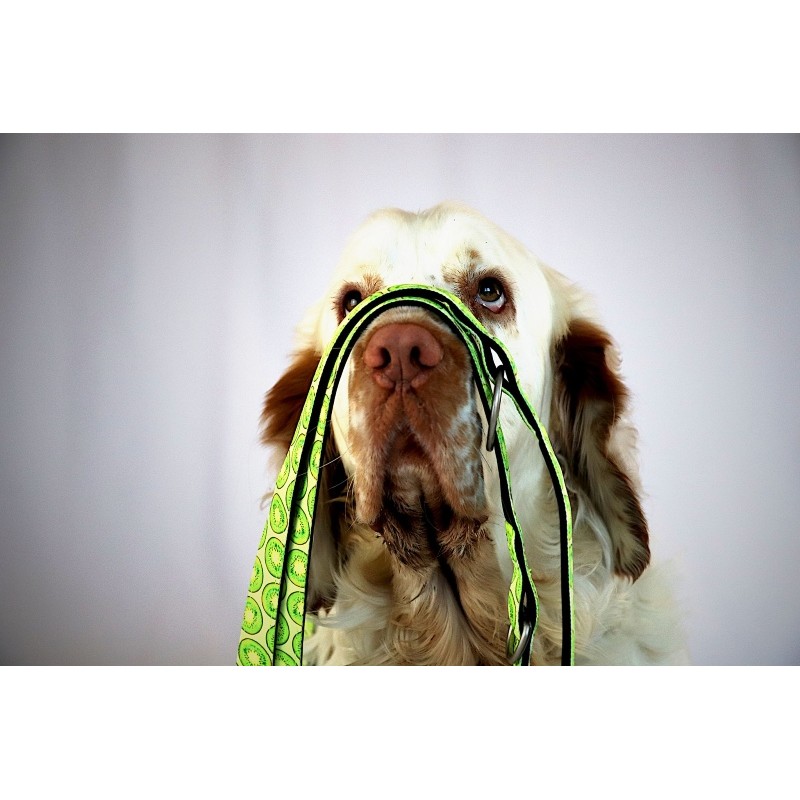 Max & Molly Μπρελόκ Kiwi Tag 17,5cm ΕΙΔΗ ΑΥΤΟΚΙΝΗΤΟΥ ΚΑΙ ΤΑΞΙΔΙΟΥ Max & Molly Μπρελόκ Kiwi Tag 17,5cm ΕΙΔΗ ΑΥΤΟΚΙΝΗΤΟΥ ΚΑΙ ΤΑΞΙΔΙΟΥ