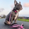 Max & Molly Μπρελόκ Leopard Pink Tag 17,5cm ΕΙΔΗ ΑΥΤΟΚΙΝΗΤΟΥ ΚΑΙ ΤΑΞΙΔΙΟΥ Max & Molly Μπρελόκ Leopard Pink Tag 17,5cm ΕΙΔΗ ΑΥΤΟΚΙΝΗΤΟΥ ΚΑΙ ΤΑΞΙΔΙΟΥ