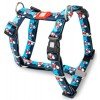 Επιστήθιο Max & Molly Frenzy the Shark Small 1,5x41-52cm ΣΚΥΛΟΙ Επιστήθιο Max & Molly Frenzy the Shark Small 1,5x41-52cm ΣΚΥΛΟΙ