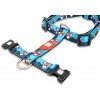 Επιστήθιο Max & Molly Frenzy the Shark Small 1,5x41-52cm ΣΚΥΛΟΙ Επιστήθιο Max & Molly Frenzy the Shark Small 1,5x41-52cm ΣΚΥΛΟΙ