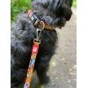 Max & Molly Μπρελόκ Heroes Tag 17,5cm ΕΙΔΗ ΑΥΤΟΚΙΝΗΤΟΥ ΚΑΙ ΤΑΞΙΔΙΟΥ Max & Molly Μπρελόκ Heroes Tag 17,5cm ΕΙΔΗ ΑΥΤΟΚΙΝΗΤΟΥ ΚΑΙ ΤΑΞΙΔΙΟΥ