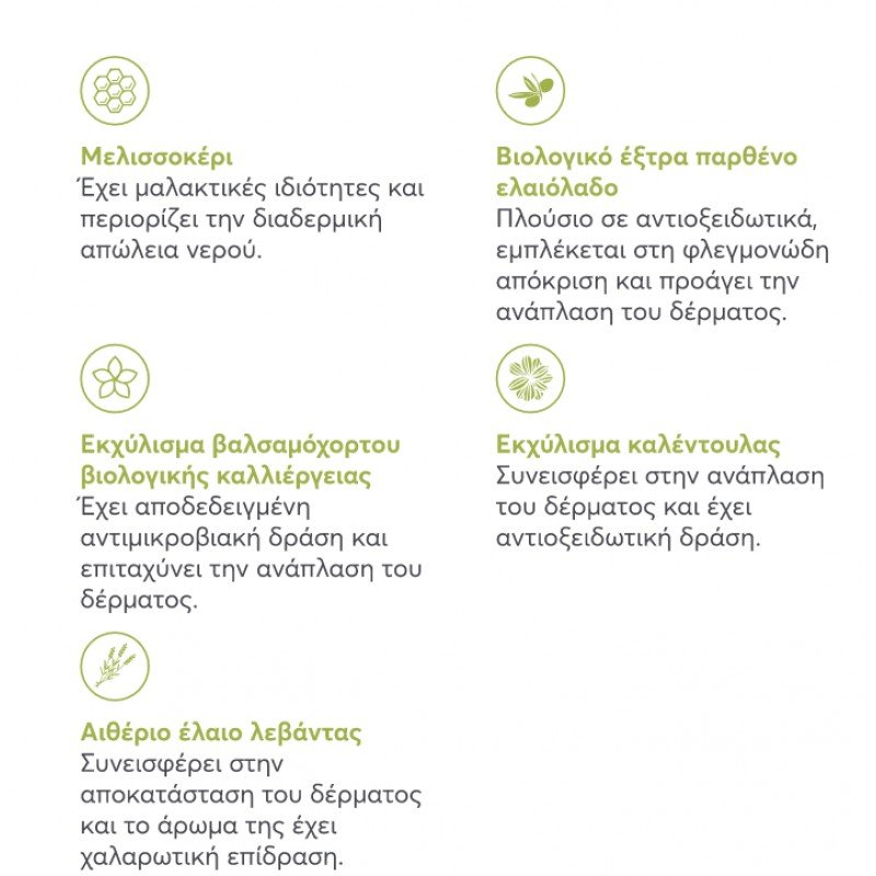 Αλοιφή Ανάπλασης Δέρματος Intuizoon Anaplasis 75ml για Σκύλους και Γάτες ΣΚΥΛΟΙ Αλοιφή Ανάπλασης Δέρματος Intuizoon Anaplasis 75ml για Σκύλους και Γάτες ΣΚΥΛΟΙ