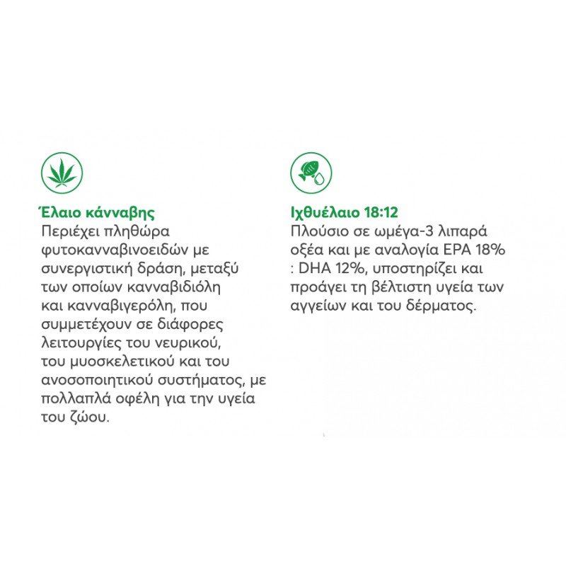 Intuizoon Euforis Oil 30ml για Σκύλους και Γάτες ΣΚΥΛΟΙ Intuizoon Euforis Oil 30ml για Σκύλους και Γάτες ΣΚΥΛΟΙ