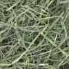 Χόρτο Oxbow Orchard Grass Hay 1.13kg ΤΡΟΦΕΣ ΚΟΥΝΕΛΙΩΝ Χόρτο Oxbow Orchard Grass Hay 1.13kg ΤΡΟΦΕΣ ΚΟΥΝΕΛΙΩΝ